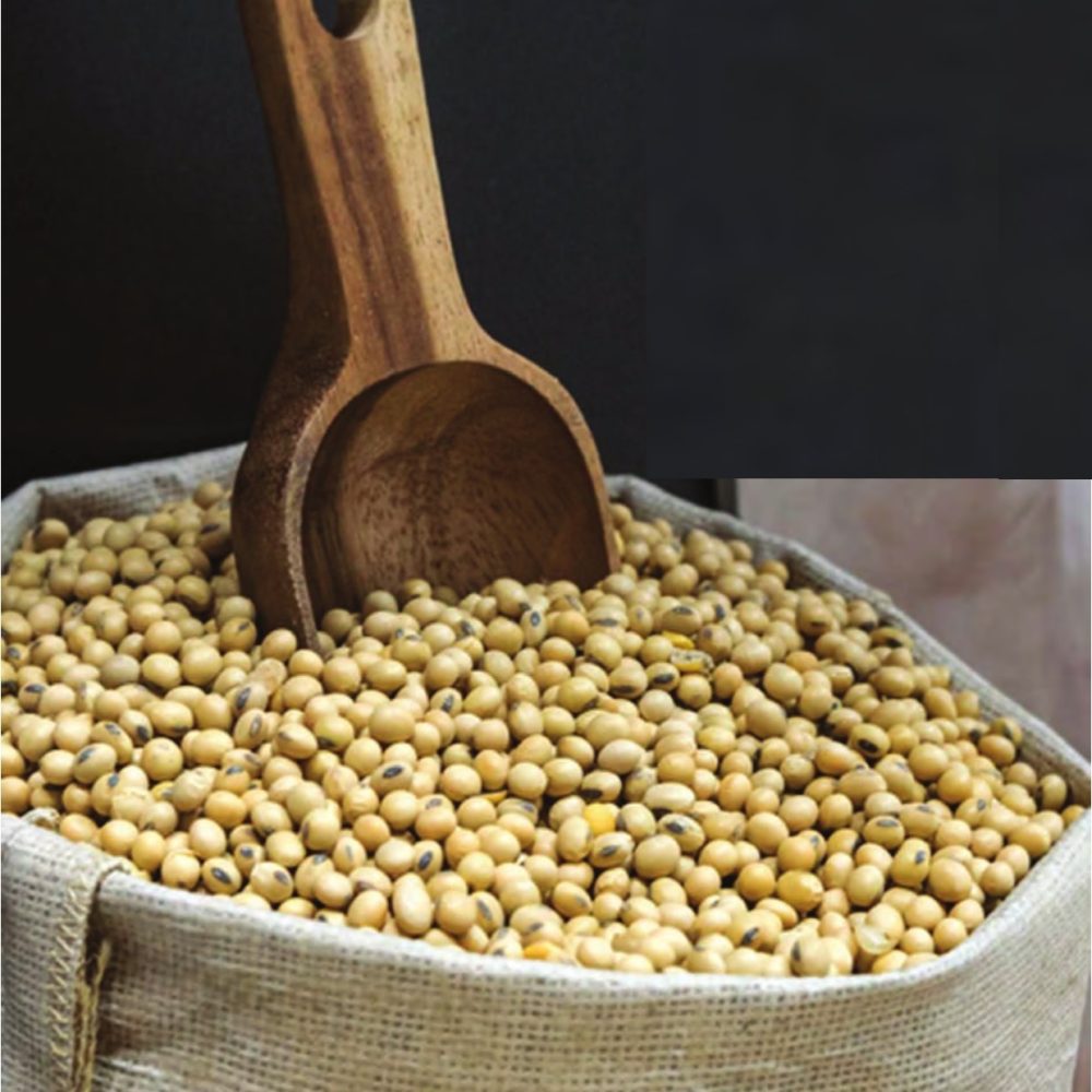 Soya Bean