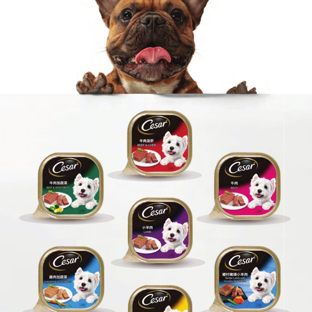 Cesar Dog Food